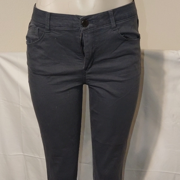 WIT & WISDOM ⭐️ Gray Skinny Jeans - Picture 2 of 9